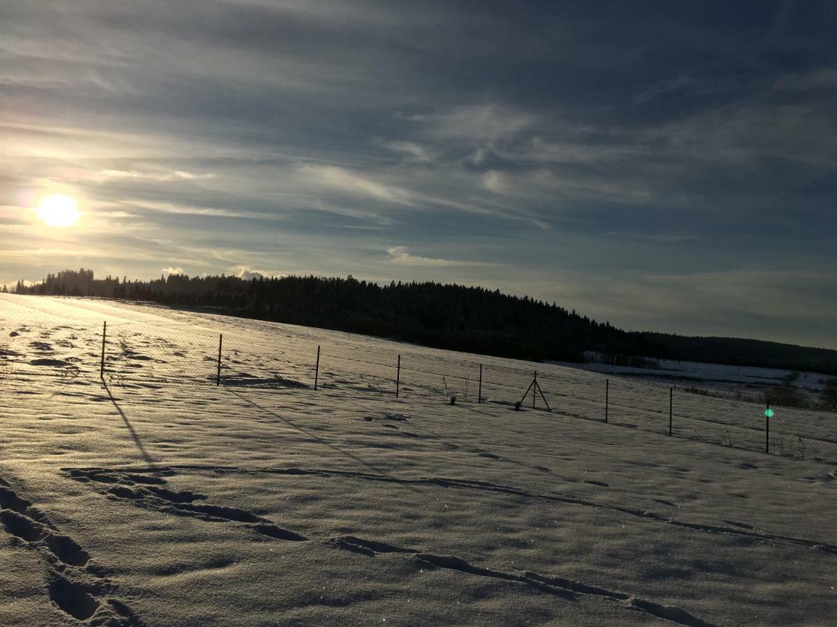 Domek Na Jagodowym Wzgorzu Villa Falsztyn Luaran gambar